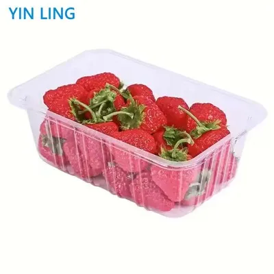 PROMPTU cibum PROBABILIS plastic fructus Tray